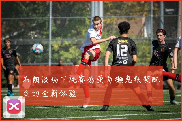 布朗谈场下观赛感受与獭兔默契配合的全新体验